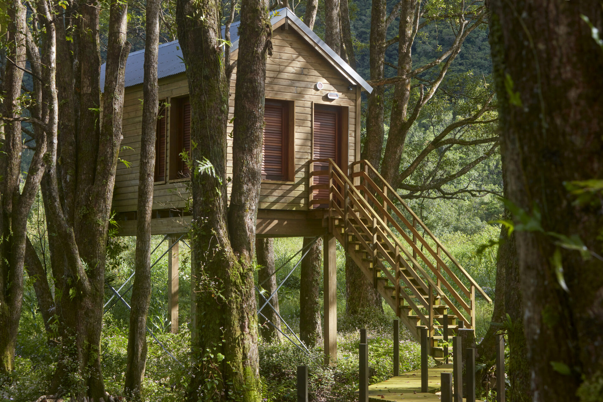 kanopea-forest-lodge